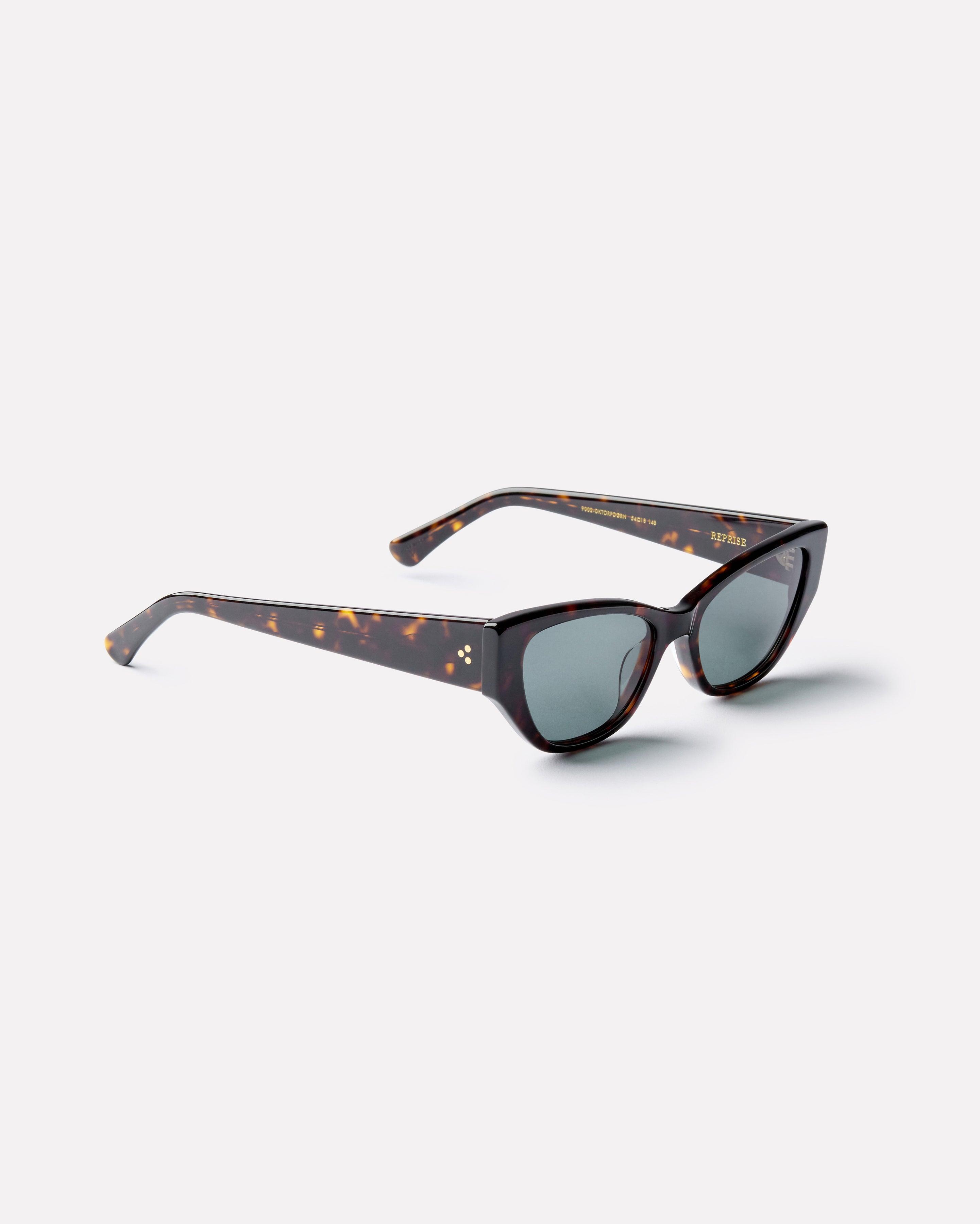 Reprise - Dark Tortoise Polished / Green - Sunglasses - EPOKHE EYEWEAR