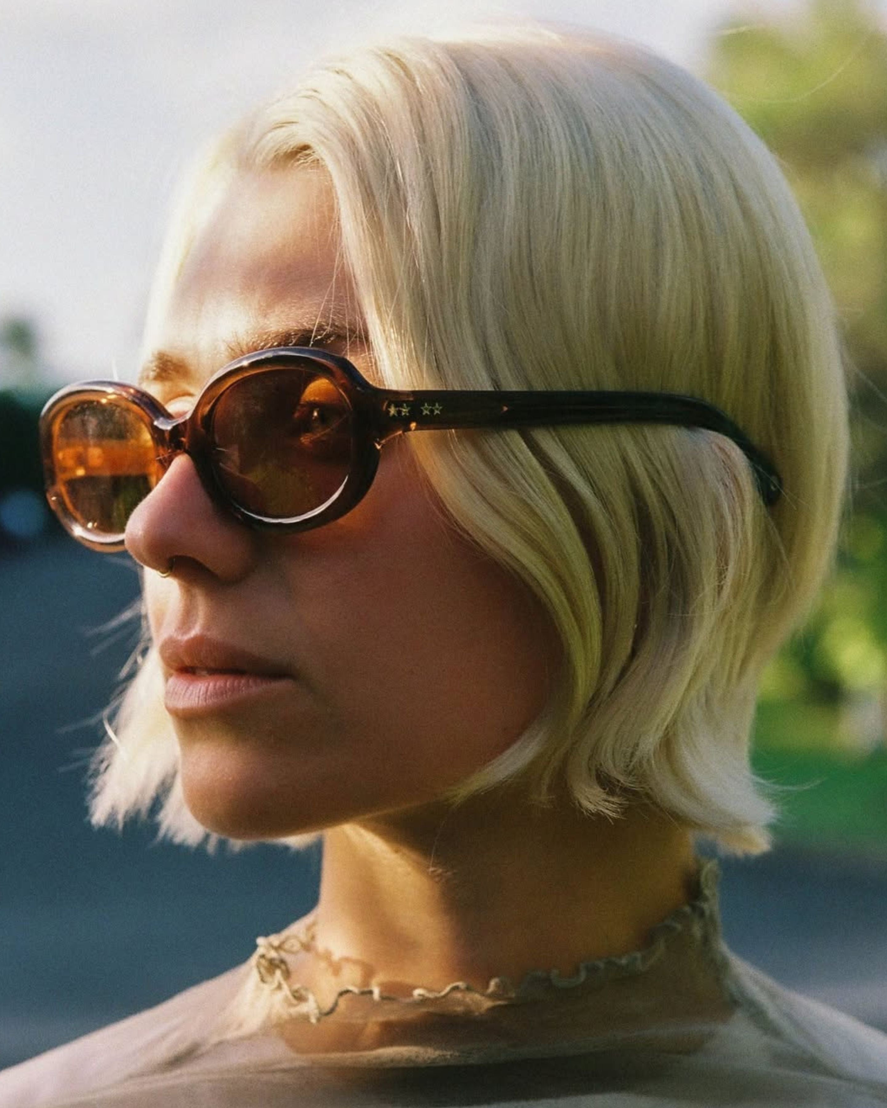 Superstar Sunglasses | Brown Polished / Brown | Epokhe Eyewear