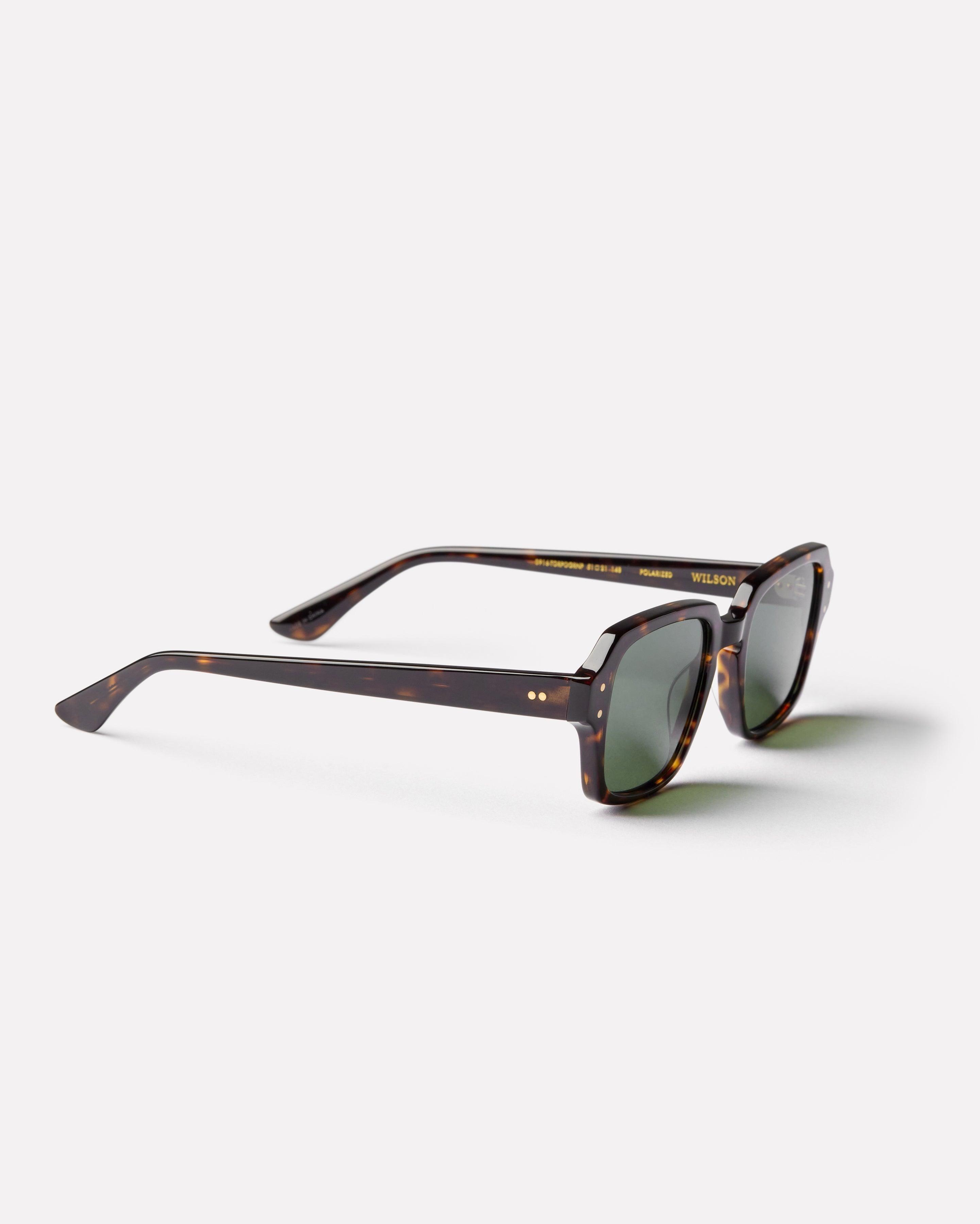 Wilson Sunglasses | Tortoise Polished / Green | Epokhe Eyewear