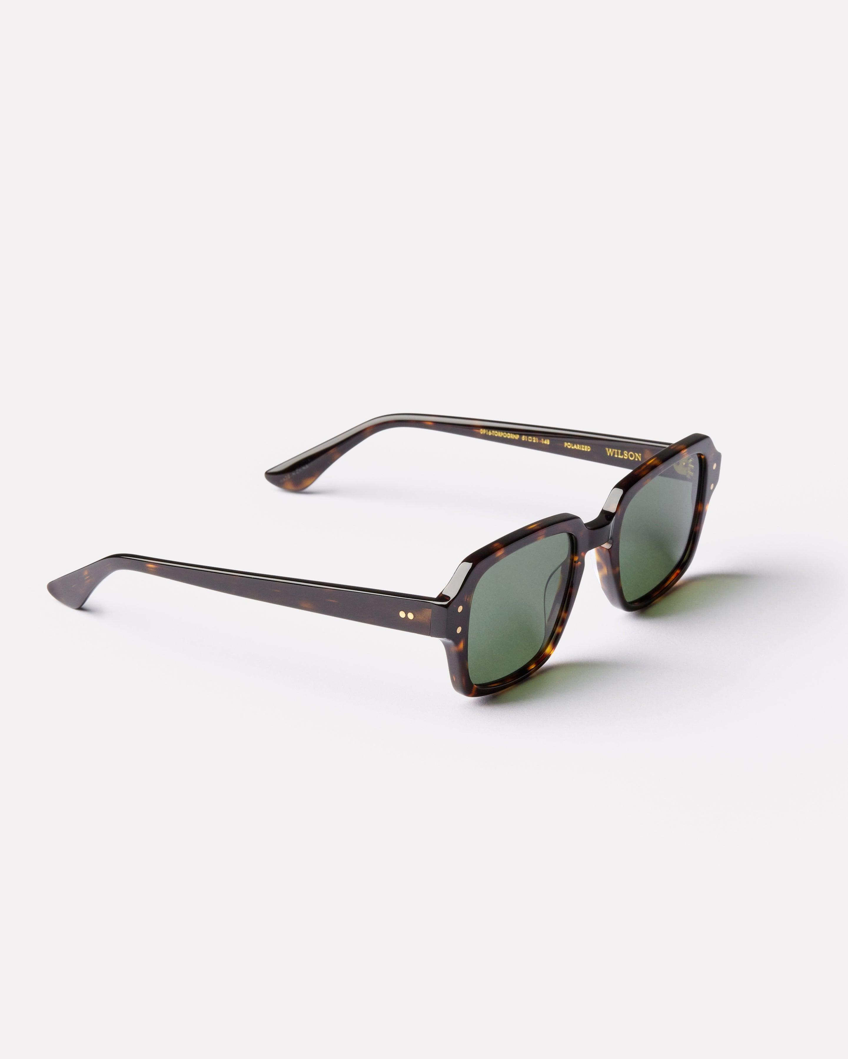Wilson Sunglasses | Tortoise Polished / Green | Epokhe Eyewear
